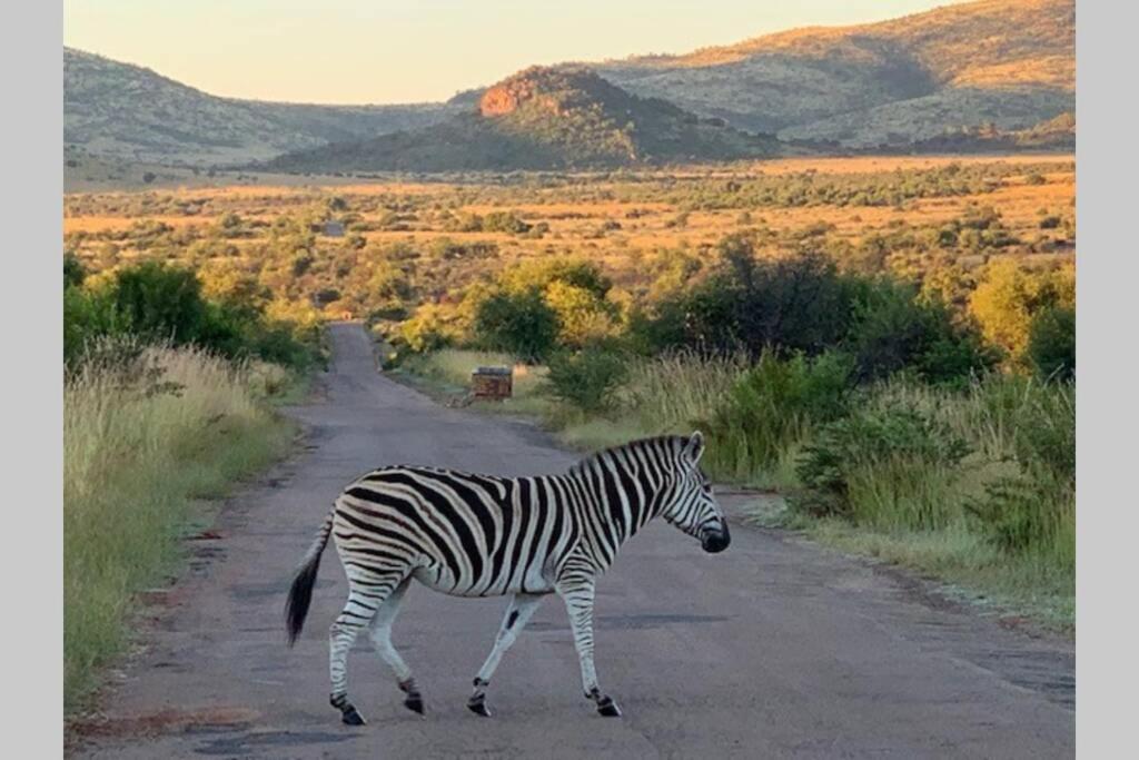 Rhino House With 3 Bedrooms Next To Pilanesberg And Sun City Mogwase Εξωτερικό φωτογραφία